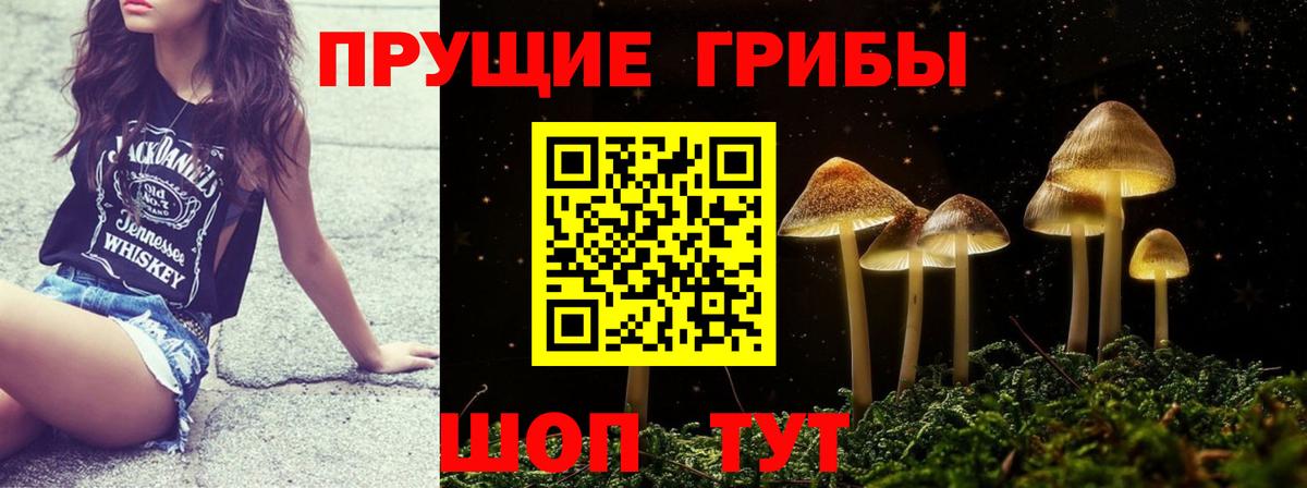 Галлюциногенные грибы ЛСД  Вход с VPN  Псилоцибиновые грибы Psilocybine cubensis  Аргун 